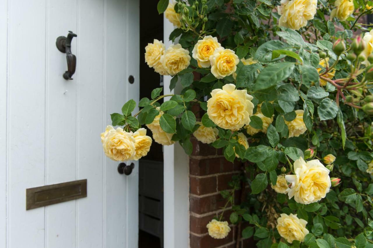 Moreton Hall Farm Bed and Breakfast Newport  Esterno foto